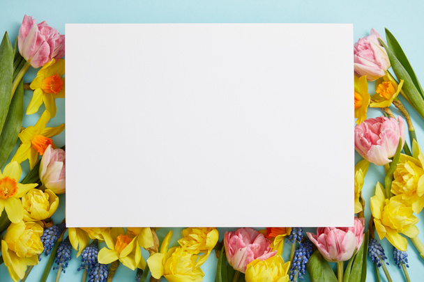 top view of empty white blank surrounded by pink tulips, yellow daffodils and blue hyacinths  on blue background - Foto, Imagen