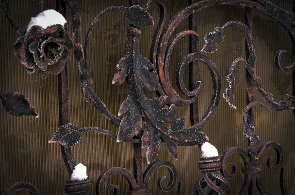 Modern metal kapı içinde belgili tanımlık soğuk dekorasyon - Fotoğraf, Görsel