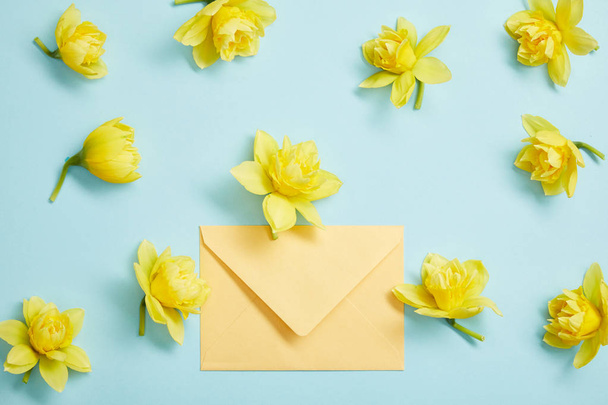 top view of yellow narcissus flowers and yellow envelope on blue  - Foto, Imagem