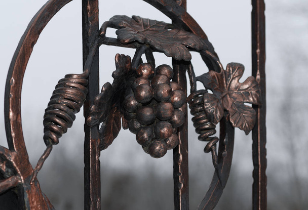 Exquisitas puertas de hierro forjado en colores oscuros
 - Foto, imagen