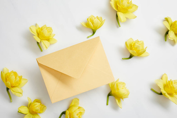 von oben mit gelben Narzissenblüten und gelbem Umschlag auf weißem Papier  - Foto, Bild