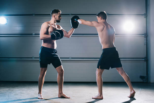 urheilullinen lihaksikas nyrkkeilijä harjoittelee lyöntiä toisen urheilijan kanssa harjoittelun aikana
 - Valokuva, kuva