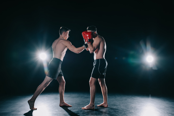 vahva urheilijat nyrkkeilyhanskat taistelevat harjoittelun aikana
  - Valokuva, kuva