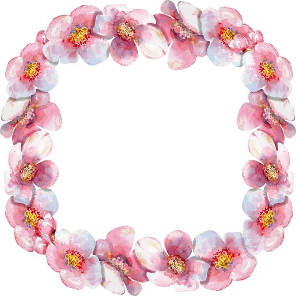 Beautiful frame with cherry blossom on a white background in watercolor . - Photo, Image