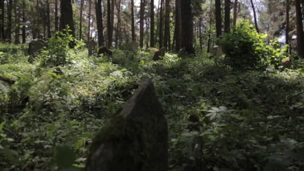 Posouvání záběr opuštěné islámský hřbitov v lese. Tráva a stromy roste přes vážné památníky v lese - Záběry, video