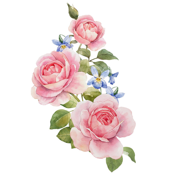 Watercolor rose composition - Photo, image