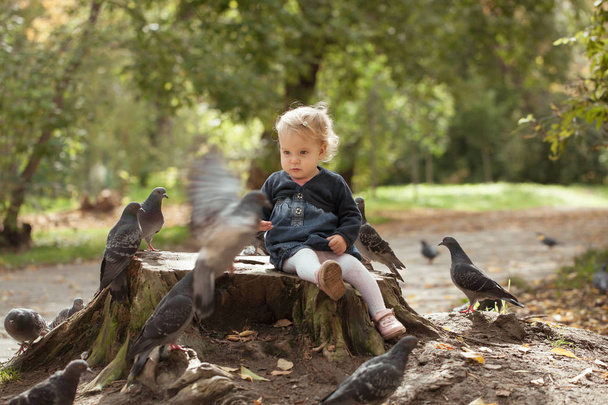 Pretty little girl feeding pigeons in autumn park - Fotoğraf, Görsel