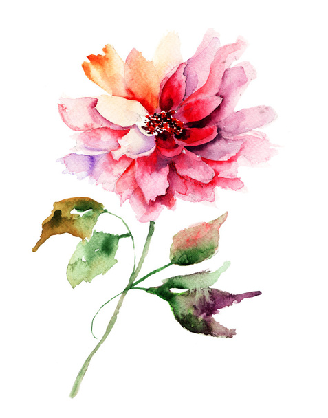 Красивый пионский цветок
 - Фото, изображение
