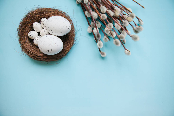 Bir söğüt dalı ve yumurta - Fotoğraf, Görsel