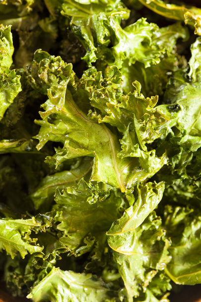 Homemade Organic Green Kale Chips - Fotoğraf, Görsel