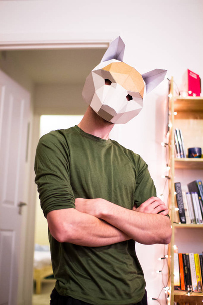 Um homem cruza os braços enquanto usa uma máscara de raposa
 - Foto, Imagem
