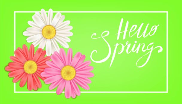 こんにちは春バナー。手描きのレタリング。背景、カモミールとデイジー。春時のテンプレート、チラシ、ポスター、パンフレット。幸せな春の日。ファッショナブルなスタイリング。分離された花のベクトル - ベクター画像