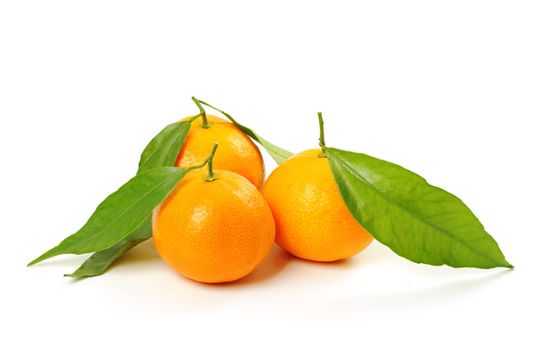 Tangerine isolated - Foto, imagen
