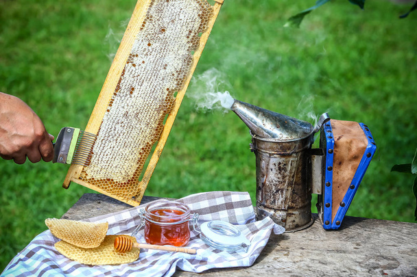 Arı yetiştiricisi özel bir arıcılık çatalıyla bal peteğini açıyor. Çiğ bal arı kovanlarından toplanıyor. Arıcılık konsepti - Fotoğraf, Görsel