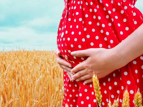Pregnant unrecognizable woman in polka dot red dress standing in wheat field and holding her belly - Foto, Bild