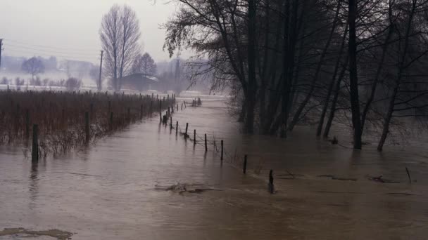 Large River Flood after melting snow - Felvétel, videó