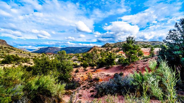 Le montagne con vegetazione variegata nel paese di roccia rossa a Beaverhead Flats Road vicino al villaggio di Oak Creek nel nord dell'Arizona
 - Foto, immagini