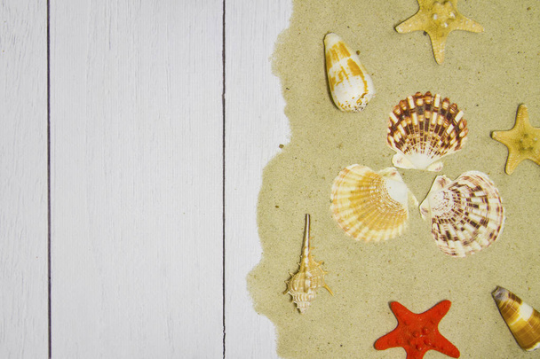 Coquilles de mer, étoiles, sur un fond bois clair avec du sable, vue de dessus
 - Photo, image