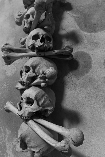 sanat olarak kafatasları ve kemikler - Fotoğraf, Görsel