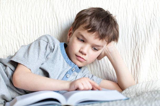 Boy reading a book on the couch in the room - Φωτογραφία, εικόνα