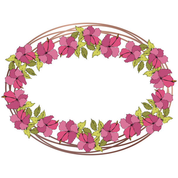Vector Hibiscus floral botanical flower. Engraved ink art. Frame border ornament square. - Вектор,изображение