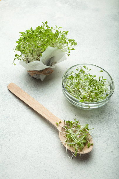 Kitchen fresh micro greens are rich in antioxidants and vitamins - 写真・画像