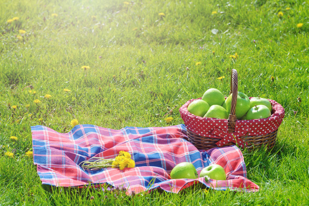 picnic basket with apples and blanket outdoor in park - Photo, Image