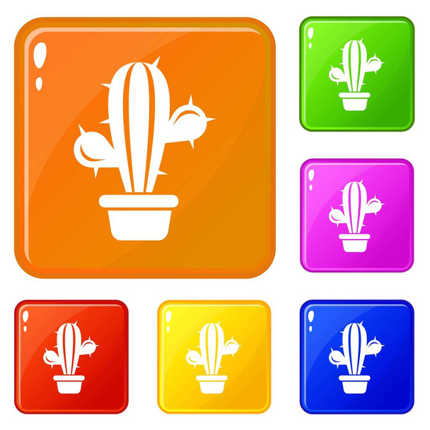 Domestic cactus icons set vector color - Vecteur, image