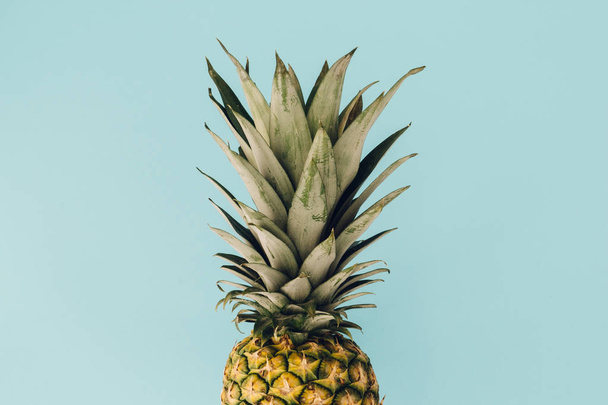 Pineapple on colorful blue background - 写真・画像