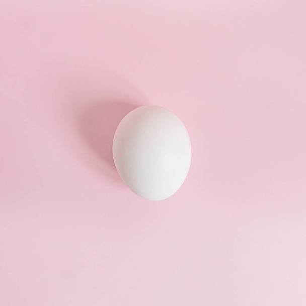white egg on pink background in natural light top view - Photo, Image