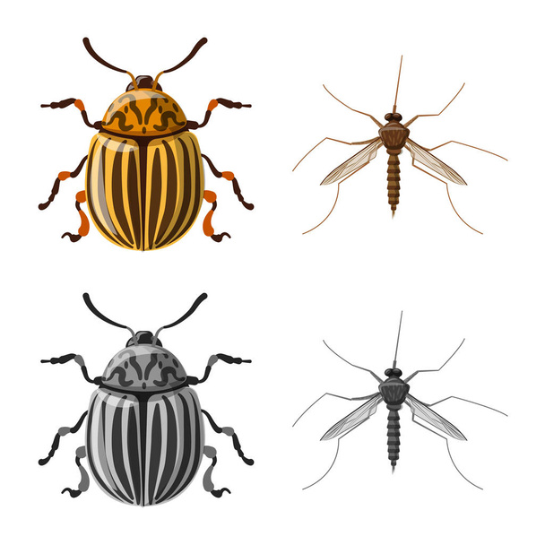 Изолированный объект с символом насекомого и мухи. Набор векторных иллюстраций насекомых и элементов
. - Вектор,изображение