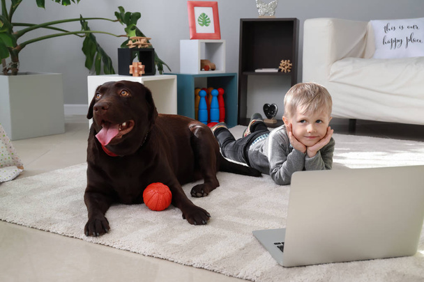 Söpö pieni poika, jolla on hauska koira katsomassa sarjakuvia kotona
 - Valokuva, kuva