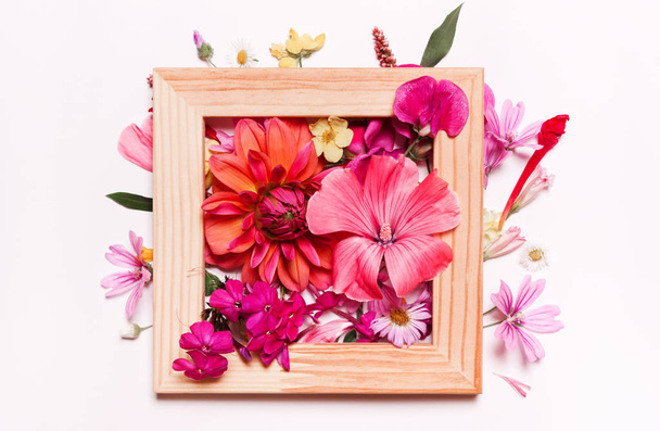 Coral pink flowers in frame. - 写真・画像