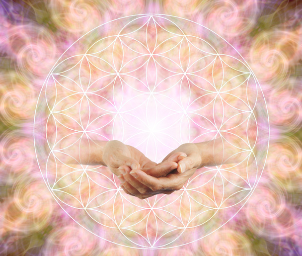 Oferecendo a Flor da Vida Bênção - Mãos de chávena femininas emergindo de uma flor de símbolo de vida contra um padrão de vórtice círculo repetido simétrico
  - Foto, Imagem