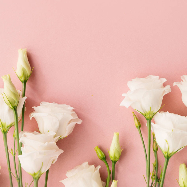 White flowers on pink background - Foto, Imagen