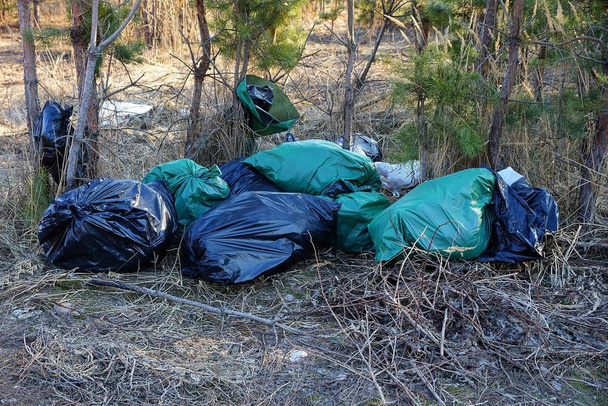 um monte de sacos de plástico de lixo na natureza entre a grama seca e árvores
 - Foto, Imagem