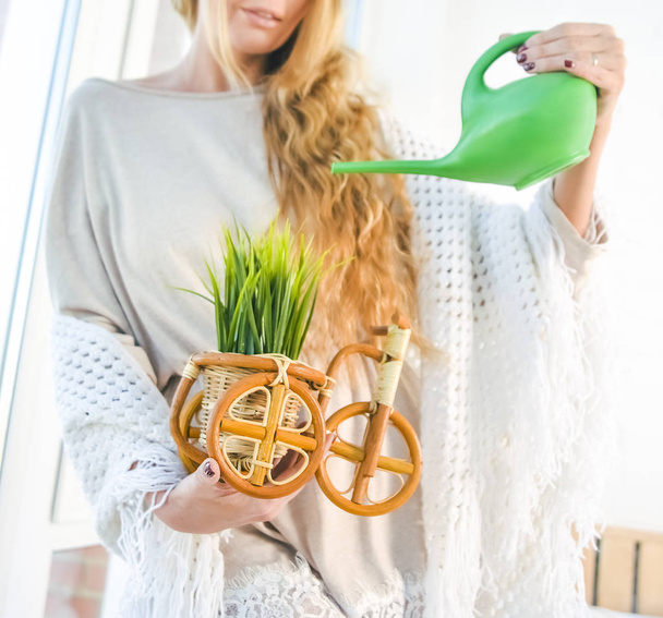 blond woman watering green grass in pot at home interior - Zdjęcie, obraz