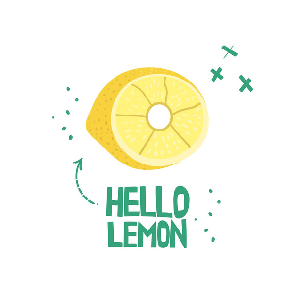 Fresh cut lemon hand drawn vector illustration - Vettoriali, immagini