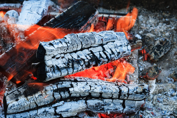 Burning firewood Campfire fireplace barbecue - Photo, Image