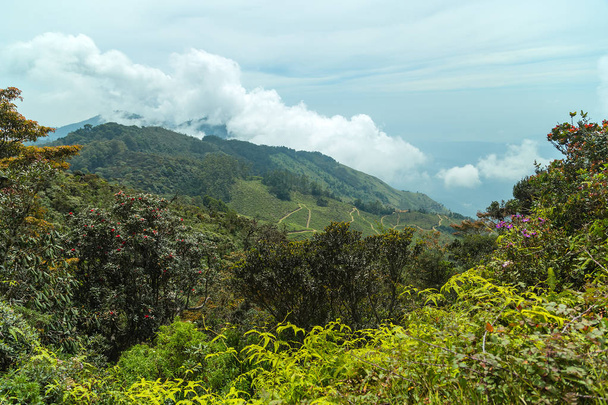 Hegyi hill Ceylon, Asia. - Fotó, kép