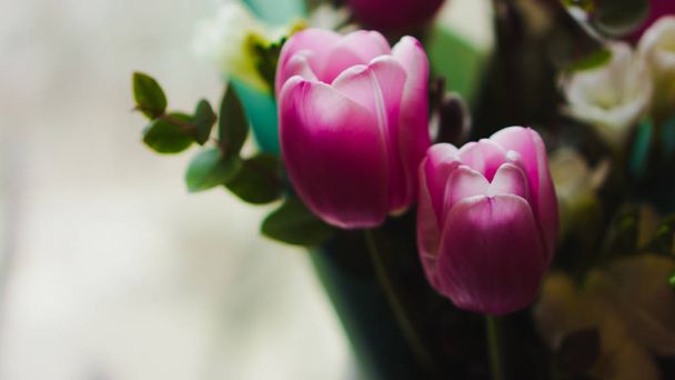Wiosenne kwiaty - bukiet różowe tulipany oświetlone delikatnym światłem - Zdjęcie, obraz