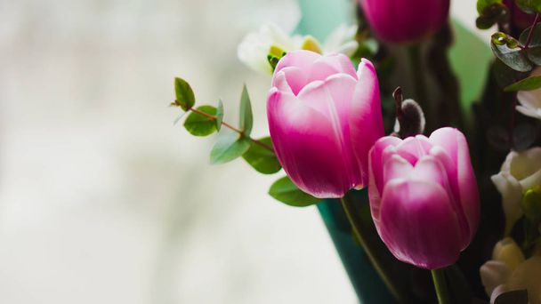 Las flores primaverales - el ramo de los tulipanes rosados iluminado con la luz suave
 - Foto, imagen