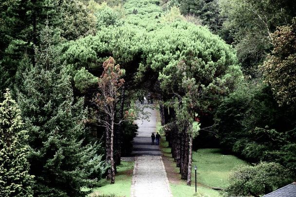 Ataturk Arboretumu Estambul, Turquía
 - Foto, Imagen