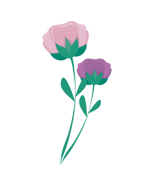 hermoso flores naturaleza icono
 - Vector, imagen