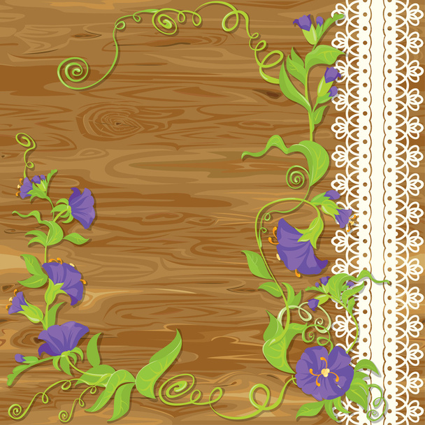 Convolvulus Flowers on wood baskground with empty space for tex - Вектор,изображение