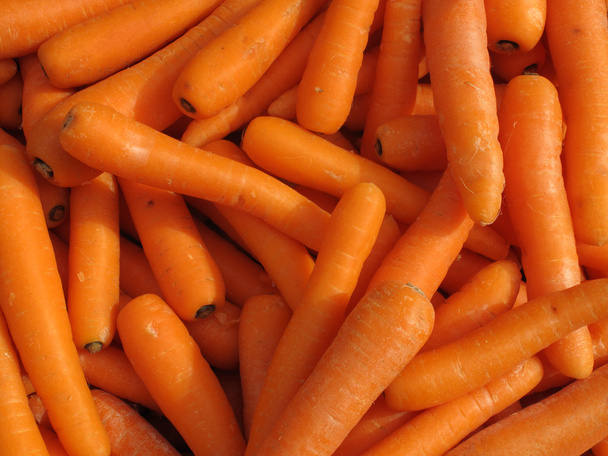 Lots of raw carrots close up. - Photo, Image