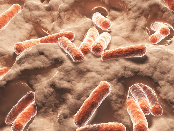 Bacteriën, bacillen wetenschappelijke illustratie - Foto, afbeelding