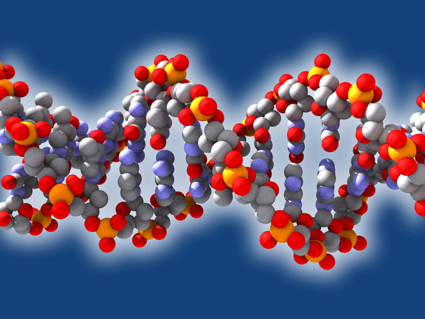 Human DNA Illustration on blue background - Photo, Image