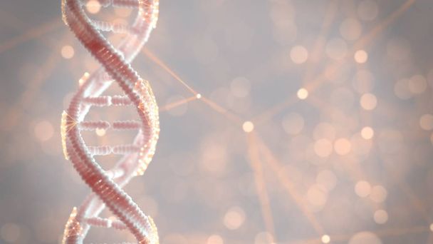 DNA構造遺伝物質 - 写真・画像