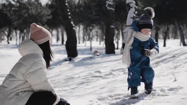 Een jonge moeder met een zoon van drie jaar is spelen met sneeuw in een winter park. Moeder zwaaide haar armen en gooide de sneeuw hoog boven hun hoofd, de sneeuw kruimels en verandert in kleine sneeuwvlokken - Video